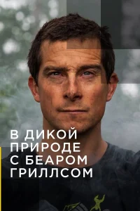 В дикой природе с Беаром Гриллсом (1-9 сезон) смотреть онлайн бесплатно постер